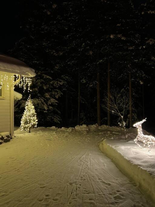 Arctic Circle Guesthouse روفانييمي المظهر الخارجي الصورة